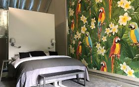Apartmány 49